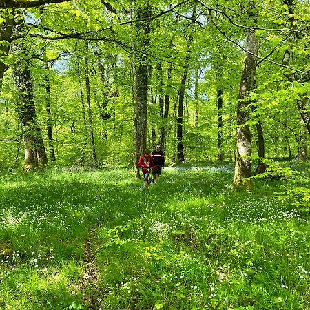 Maison Chaleureuse Avec Jardin - Pause Normande Sées Buitenkant foto
