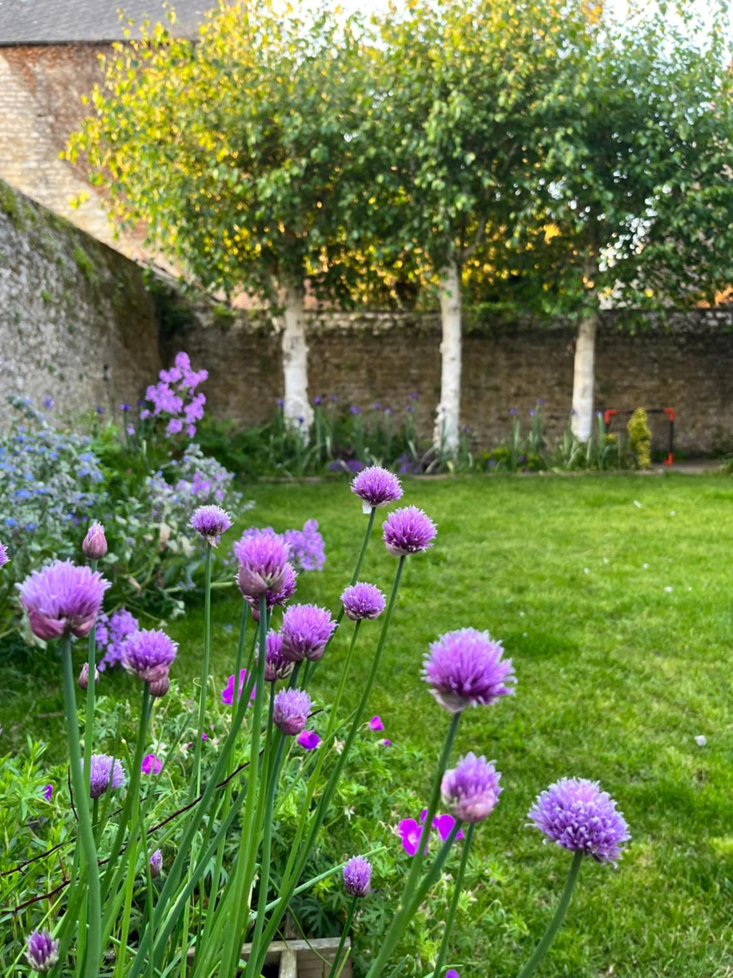 Maison Chaleureuse Avec Jardin - Pause Normande Sées Buitenkant foto